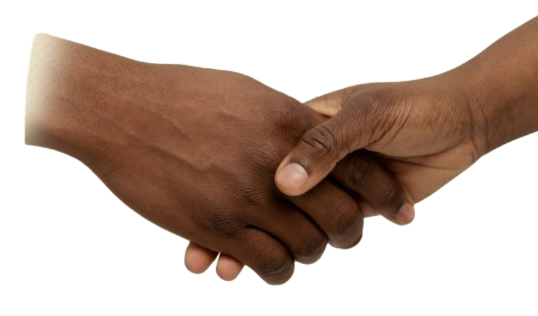 Professional handshake representing strategic partnership between diverse business partners